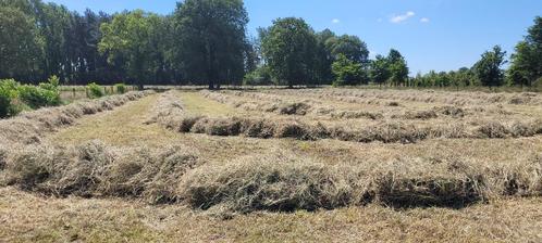 Hooi voordroog te koop, Dieren en Toebehoren, Paarden en Pony's | Overige Paardenspullen, Nieuw, Overige soorten, Ophalen