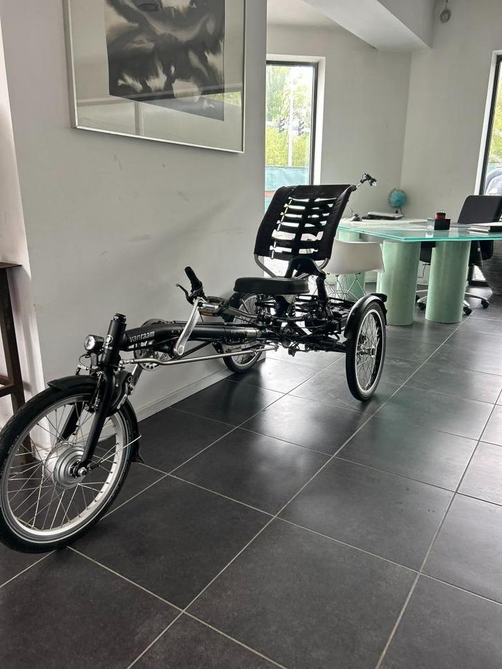 easy sport Van Raam met sterke motor en garantie, Fietsen en Brommers, Fietsen | Ligfietsen, Zo goed als nieuw, Overige merken