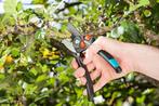 Gardena Verstelbare snoeischaar SNELLE GRATIS LEVERING, Tuin en Terras, Snoeischaren, Verzenden, Nieuw, Gardena