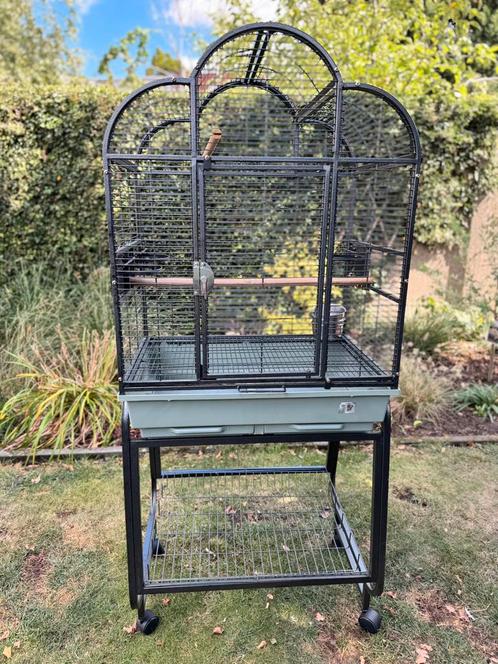 Papegaaienkooi - parkietenkooi - Vogelkooi, Dieren en Toebehoren, Vogels | Hokken en Kooien, Vogelkooi, Ophalen