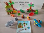 Duplo Jungle 10804 avec livret, Enlèvement ou Envoi, Comme neuf, Ensemble complet, Duplo