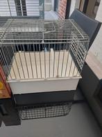Vogelkooi met toebehoren, Dieren en Toebehoren