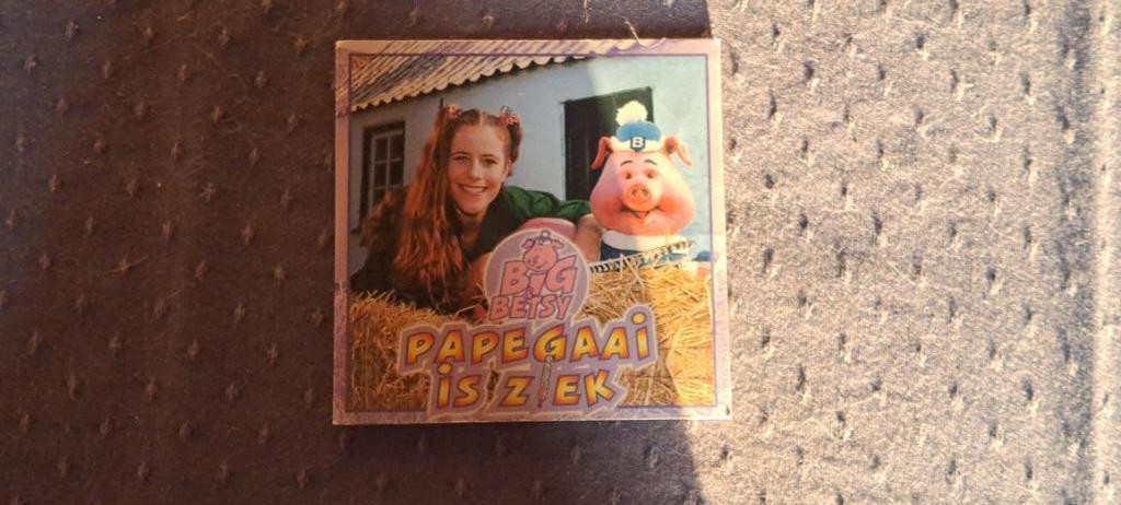 Big & betsy papegaai is ziek, Cd's en Dvd's, Cd Singles, Ophalen of Verzenden