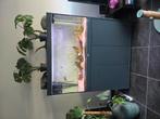 Aquarium aqualantis 120cm