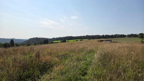 6830 LES HAYONS - Bouillon: Prachtige grond, 1ha70ca., Immo, Gronden en Bouwgronden, 1500 m² of meer