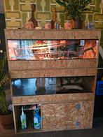 Houten terraria met 2 Ball Pythons, Dieren en Toebehoren, Slang, Met terrarium, 3 tot 6 jaar