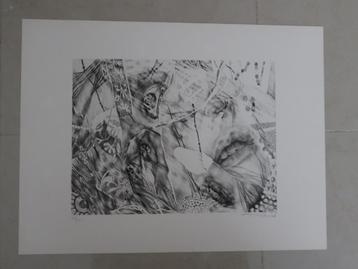 Lithographie de Pierre Vlerick disponible aux enchères