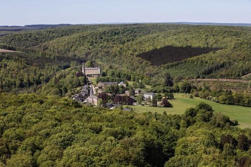 MIRWART — Chalet in het hart van de bossen, met adembenemend, Immo, Huizen en Appartementen te koop, Provincie Luxemburg, 1500 m² of meer