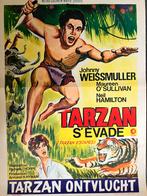 Affiche de 1936 de Tarzan S’évade, Collections, Enlèvement ou Envoi, Film