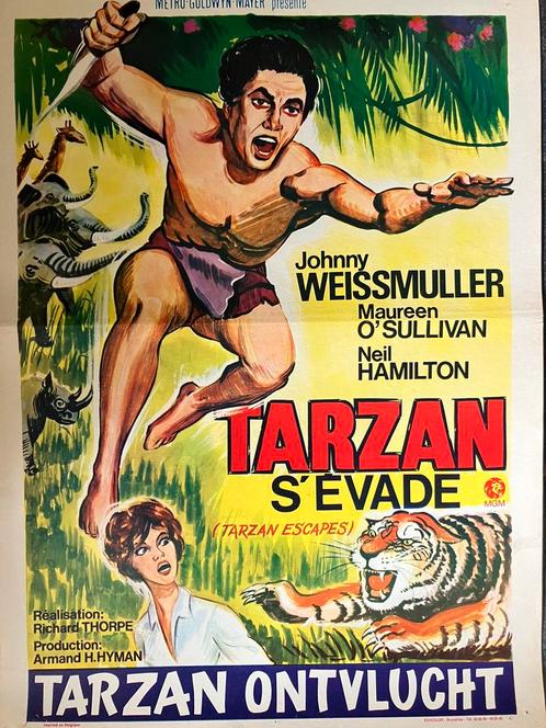 Affiche de 1936 de Tarzan S’évade, Collections, Cinéma & Télévision, Film, Enlèvement ou Envoi