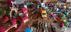 Groot lot playmobil, Enlèvement, Utilisé, Playmobil en vrac