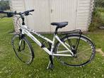 Lichtgewicht, sportieve damesfiets maatje 50, Fietsen en Brommers, Fietsen | Dames | Damesfietsen, Ophalen, Zo goed als nieuw
