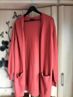 Damesvestje, Kleding | Dames, Ophalen, Maat 42/44 (L), Nieuw, JBC.