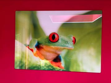 Décoration murale en verre 100/70 URGENT départ à l’étr beschikbaar voor biedingen