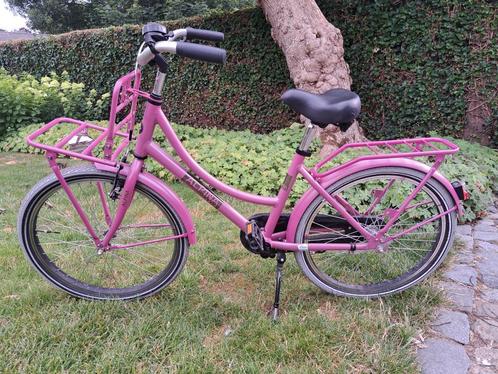 meisjesfiets Alpina Cargo 22 inch, Fietsen en Brommers, Fietsen | Meisjes, Zo goed als nieuw, Ophalen