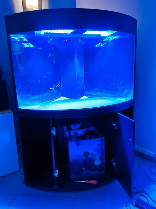 Aquarium d'angle récifal eau de mer marin, Dieren en Toebehoren, Vissen | Aquaria en Toebehoren, Gebruikt, Leeg aquarium, Ophalen