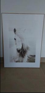 Cadre cheval, Enlèvement, Neuf, Autres matériaux, 50 à 75 cm