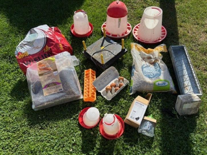 Volledige kippen uitzet, Dieren en Toebehoren, Overige Dieren-accessoires, Gebruikt, Ophalen