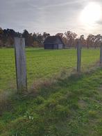 Unieke paardenweide in Kasterlee, Immo, Gronden en Bouwgronden