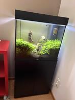 Aquarium, Ophalen, Grind, Zand of Voedingsbodem
