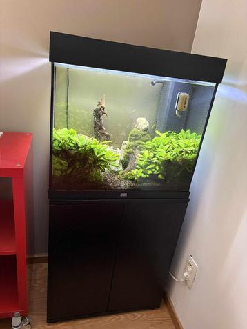Aquarium beschikbaar voor biedingen
