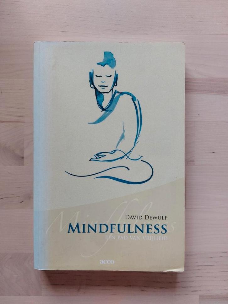 Mindfulness, Boeken, Filosofie, Gelezen, Overige onderwerpen, Ophalen of Verzenden