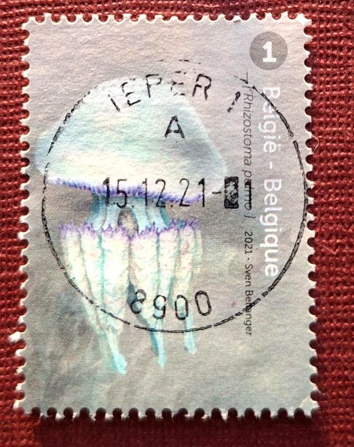 Timbre Belgium OBP 4998, Timbres & Monnaies, Timbres | Europe | Belgique, Affranchi, Enlèvement