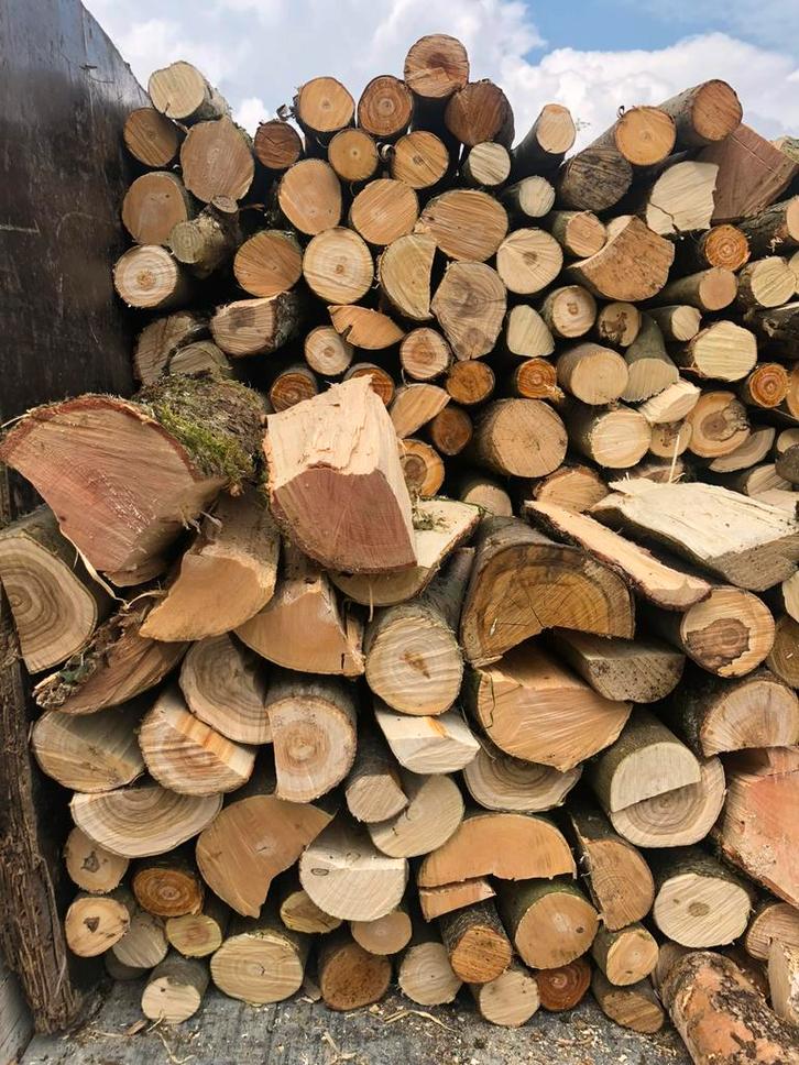 Bois de chauffage sapin ou feuillus sec ou frais, Jardin & Terrasse, Bois de chauffage, Enlèvement ou Envoi