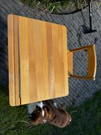 Kinder lessenaar, Kinderen en Baby's, Ophalen, Gebruikt, Tafel(s) en Stoel(en)