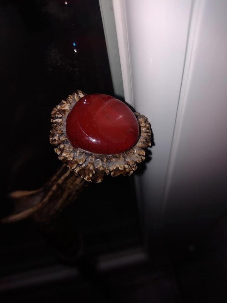 Canne  en bois naturel, Antiquités & Art, Curiosités & Brocante