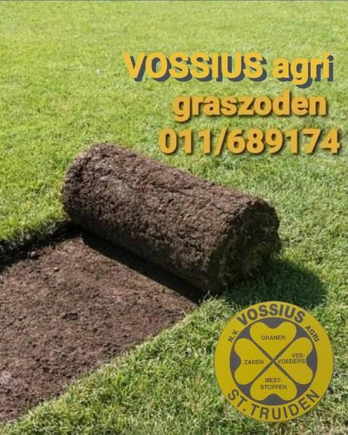 GRASZODEN-GRASMATTEN-GRASROLLEN-GAZONZODEN-GAZON, Tuin en Terras, Gras en Kunstgras, Gras, Ophalen