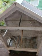 vogels kweekkooien