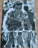 Wielrenner Bernard Hinault: oude fotoprent, Verzamelen, Ophalen of Verzenden, Gebruikt, Poster, Plaatje of Sticker