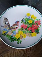 Assiettes décoratives, Antiek en Kunst, Ophalen