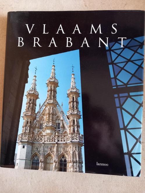 Vlaams Brabant, Boeken, Kunst en Cultuur | Architectuur, Zo goed als nieuw, Ophalen of Verzenden
