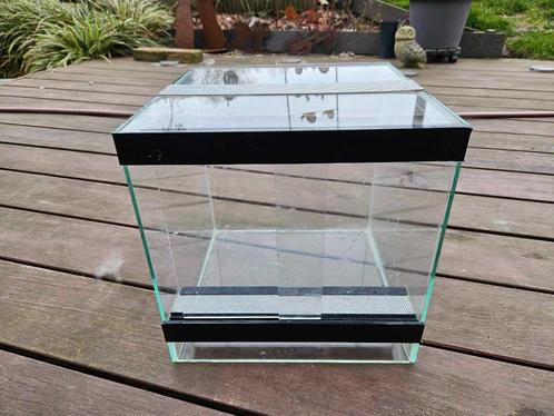 Vends terrarium, Dieren en Toebehoren, Reptielen en Amfibieën | Toebehoren, Gebruikt, Terrarium of Paludarium, Ophalen