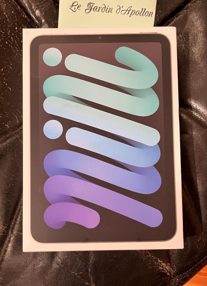 iPad mini (A17 Pro) met wifi, Computers en Software, Apple iPads, Nieuw, Apple iPad, Wi-Fi, 8 inch, 256 GB, Grijs, Ophalen of Verzenden