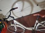 Damesfiets Central Park, Fietsen en Brommers, Fietsen | Dames | Damesfietsen, Ophalen, Zo goed als nieuw