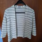 Witte jas met zwarte lijnen, Maat 38/40 (M), H&M, Overige kleuren, Ophalen of Verzenden