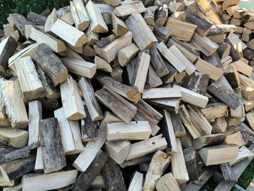 Bois de chauffage Frêne sec prêt à brûler beschikbaar voor biedingen