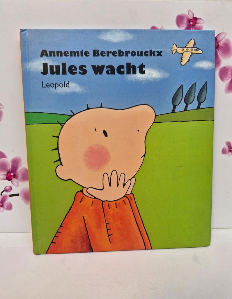 🧡 Boek: Jules wacht, Boeken, Prentenboeken en Plaatjesalbums, Zo goed als nieuw, Prentenboek, Ophalen of Verzenden