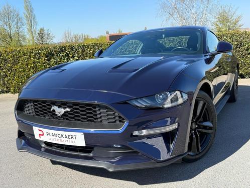 Ford Mustang 2.3 EcoBoost 290pk *Facelift /Aut./Carplay/Came, Auto's, Ford, Bedrijf, Te koop, Mustang, ABS, Achteruitrijcamera