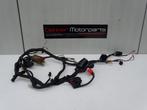 Kabelboom / Draadboom Honda CBR600F 1999-2000 PC35 F4, Motoren, Ophalen of Verzenden, Gebruikt