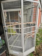 Cage Oiseaux impeccable, Animaux & Accessoires, Enlèvement, Comme neuf