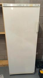 Congélateur BAUKNECHT, Electroménager, Congélateur, 160 cm ou plus, Enlèvement, Utilisé