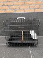 Papegaai vogel transport kooi te koop, Ophalen, Zo goed als nieuw