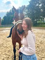 ‼️Paarden en pony’s gezocht ‼️, Dieren en Toebehoren, Paarden