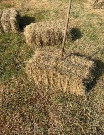 AFHALEN / LEVEREN / RESERVEREN / STOCKEREN van HOOI beschikbaar voor biedingen