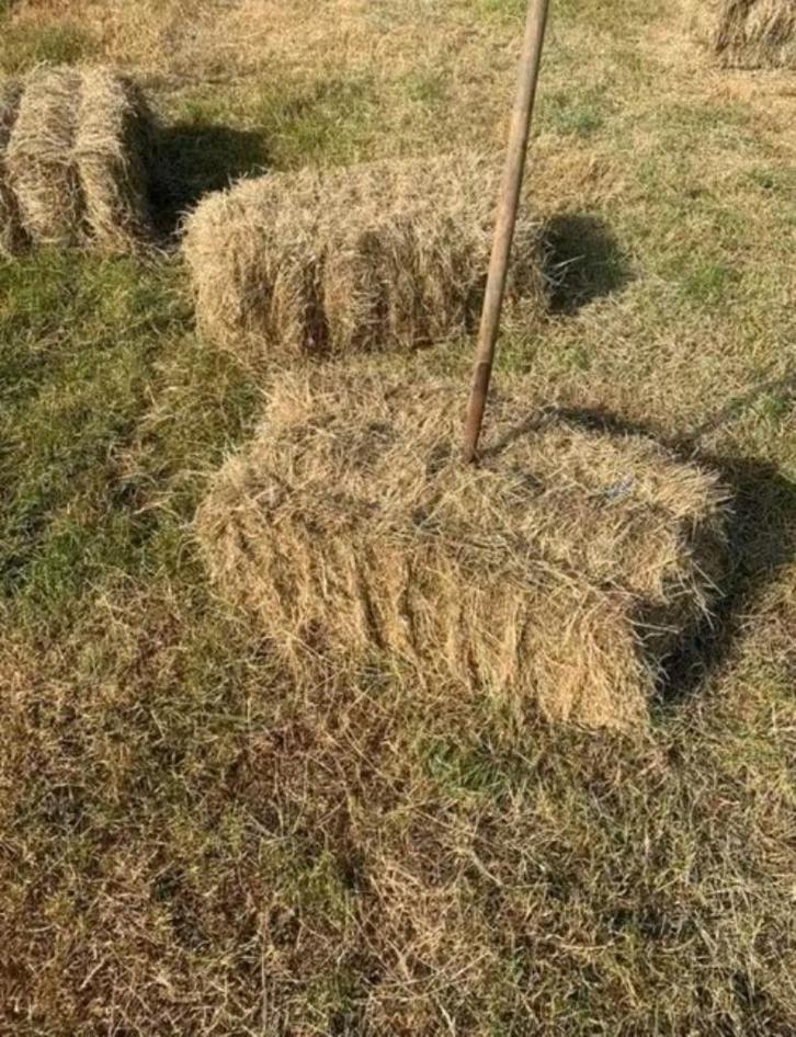 AFHALEN / LEVEREN / RESERVEREN / STOCKEREN van HOOI, Dieren en Toebehoren, Dierenvoeding, Vee, Ophalen