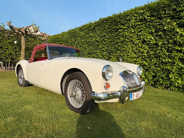 MGA1600, Auto's, Oldtimers, Particulier, MG, Benzine, Cabriolet, 2 deurs, Handgeschakeld, Beige, Overige kleuren, Leder, Voorwielaandrijving
